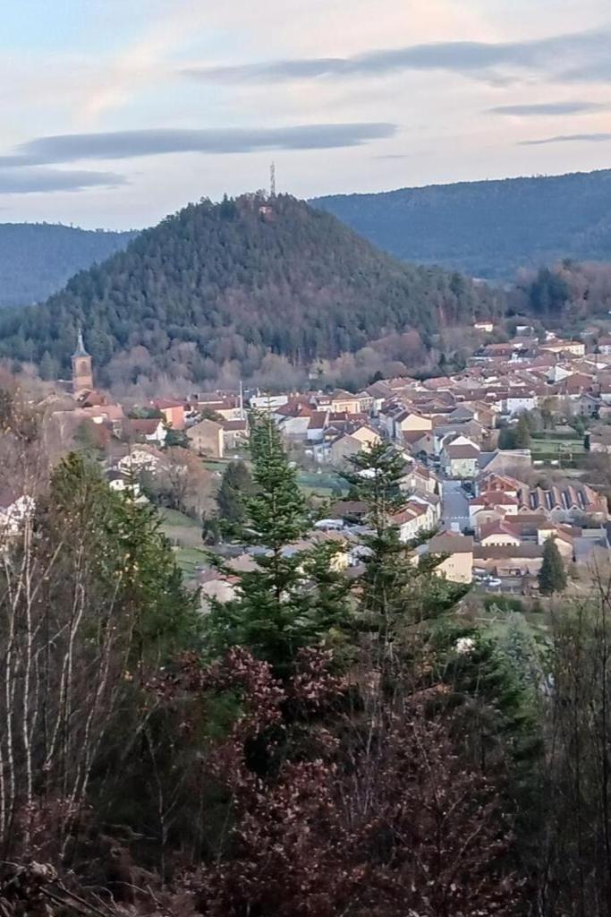 Charmant Gite, Au Calme, Avec Vue Imprenable Sur La Nature Environnante Deycimont Exteriör bild