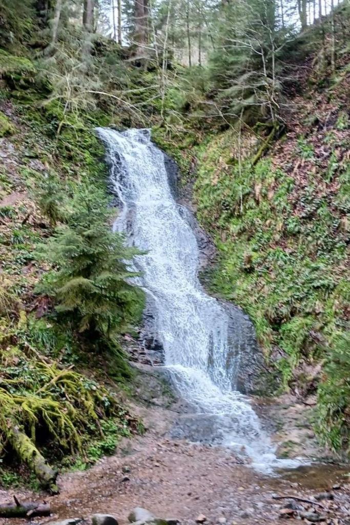 Charmant Gite, Au Calme, Avec Vue Imprenable Sur La Nature Environnante Deycimont Exteriör bild
