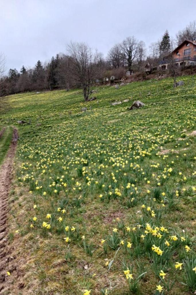 Charmant Gite, Au Calme, Avec Vue Imprenable Sur La Nature Environnante Deycimont Exteriör bild
