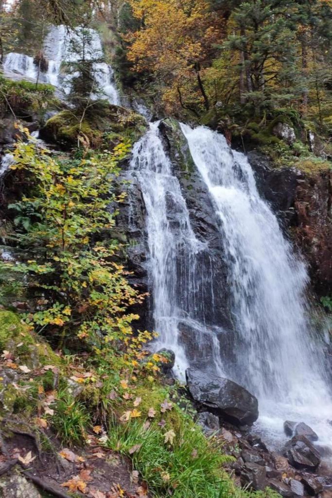 Charmant Gite, Au Calme, Avec Vue Imprenable Sur La Nature Environnante Deycimont Exteriör bild