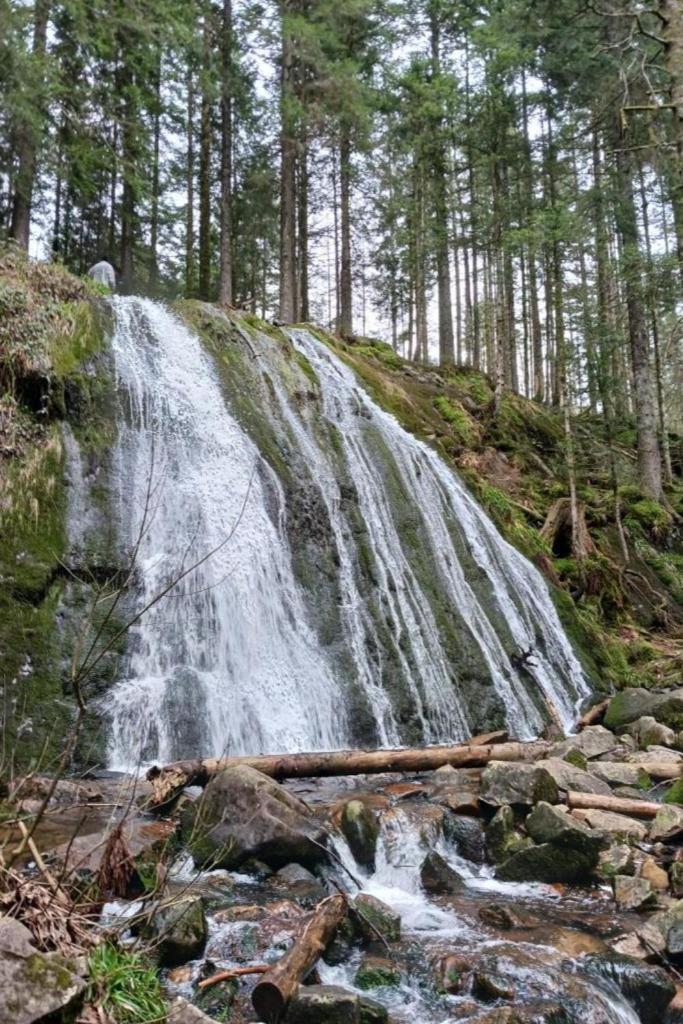 Charmant Gite, Au Calme, Avec Vue Imprenable Sur La Nature Environnante Deycimont Exteriör bild