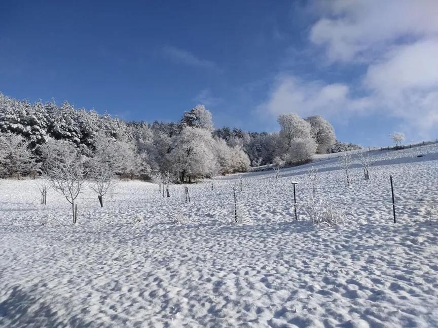 Charmant Gite, Au Calme, Avec Vue Imprenable Sur La Nature Environnante Deycimont Exteriör bild